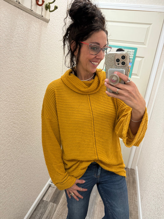 Tami Turtleneck Sweater Top