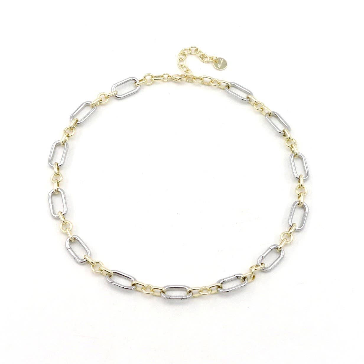 Two Tone Collectors Necklace - for Charms and Pendants