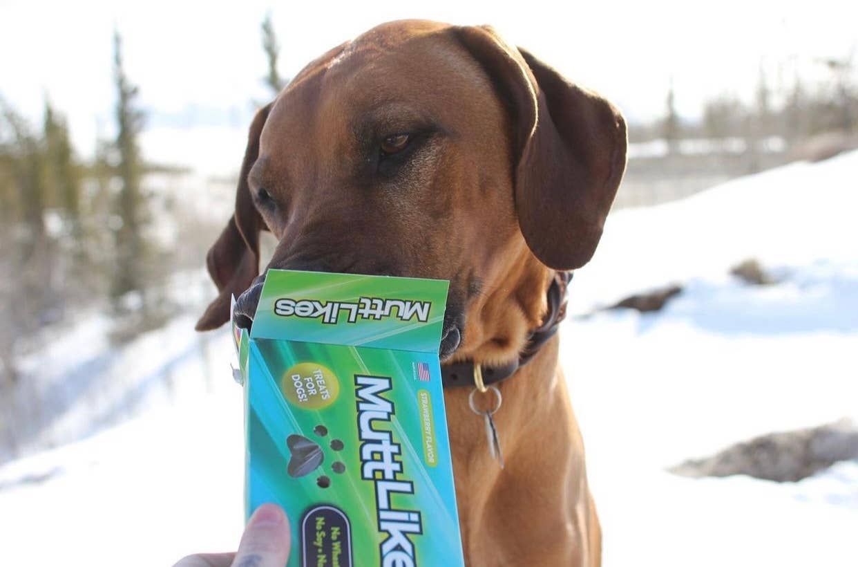 Buddy Caps DOG Treats