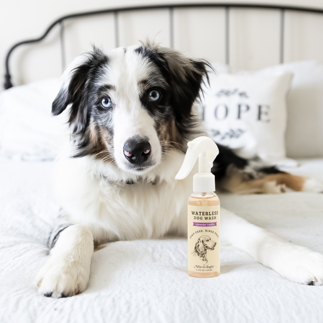 MIXOLOGIE Rinse-Free Dog Wash
