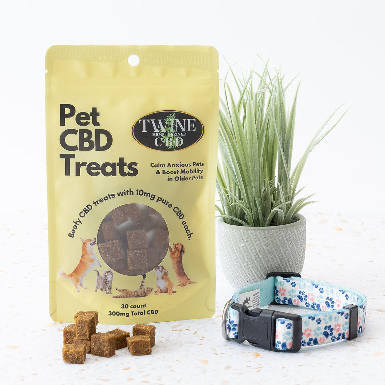 Pet Treats