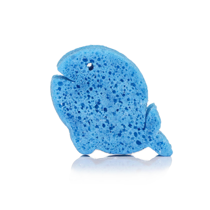 Walter Whale Sea Animals Sponge