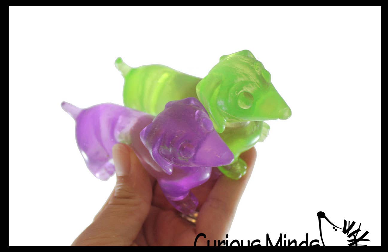 Dachshund Weiner Dog Sugar squishy