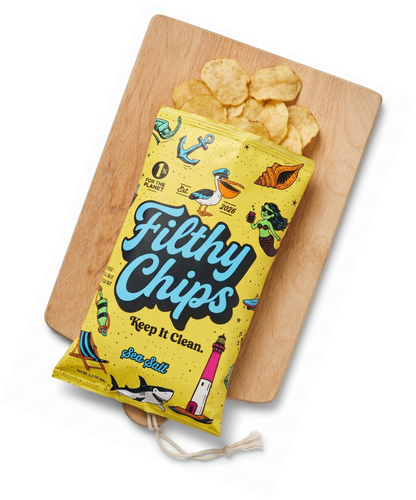 Sea Salt Avocado Oil Kettle Filthy Potato Chips - 2oz