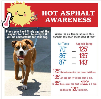 Wiggly Butt's Dog Paw Balm