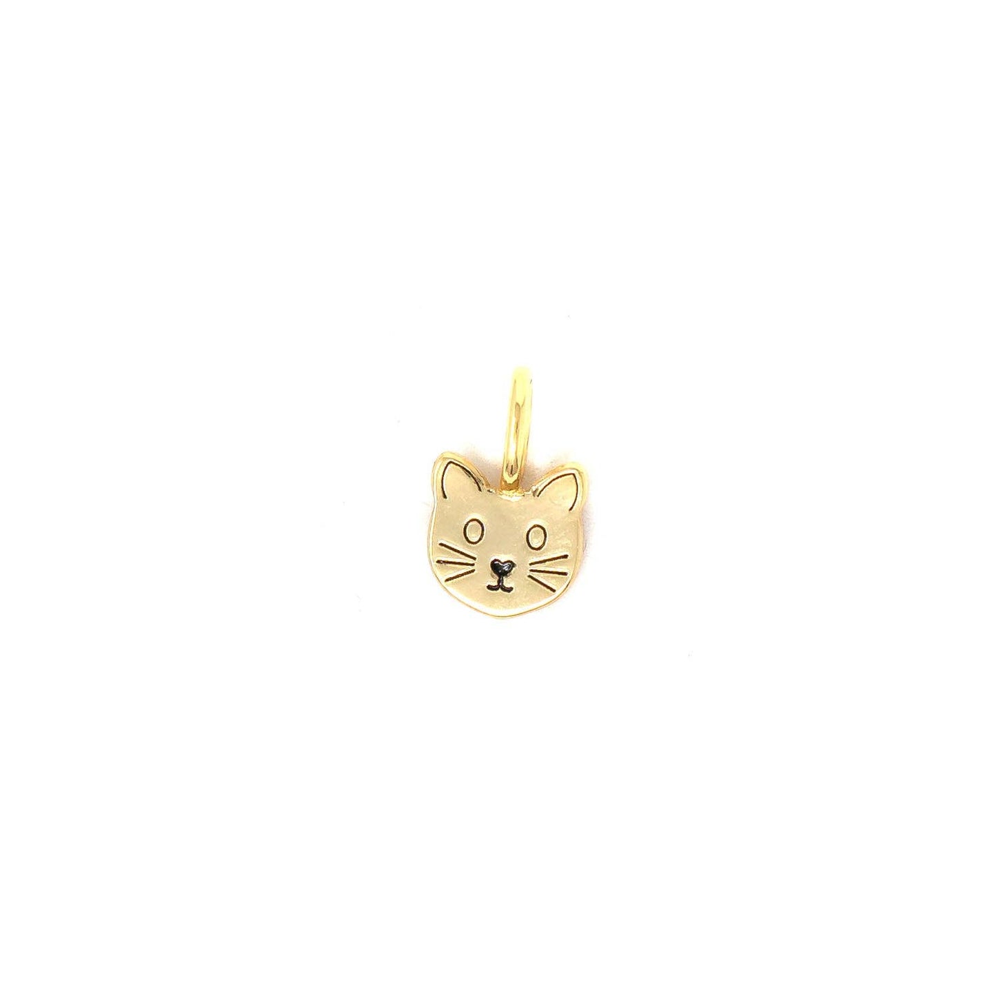 Kitten Charm