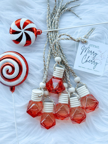 Winter Hanging Diffuser