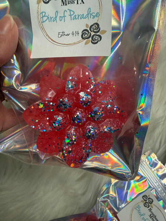 Bird Of Paradise Scented Vent Clip Freshie