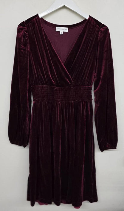 Amelia velvet dress