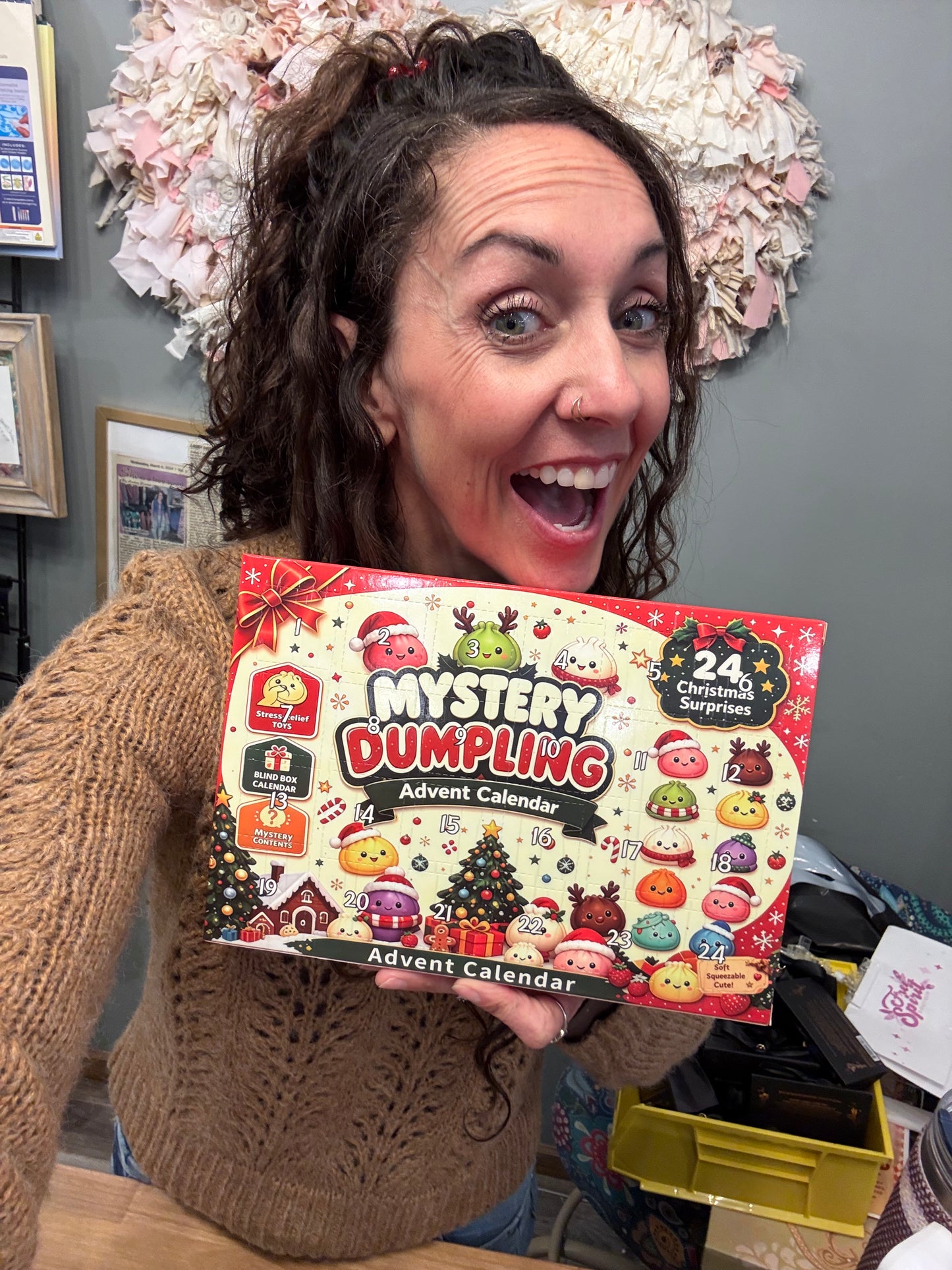 Mini Mystery Dumpling Advent Calendar