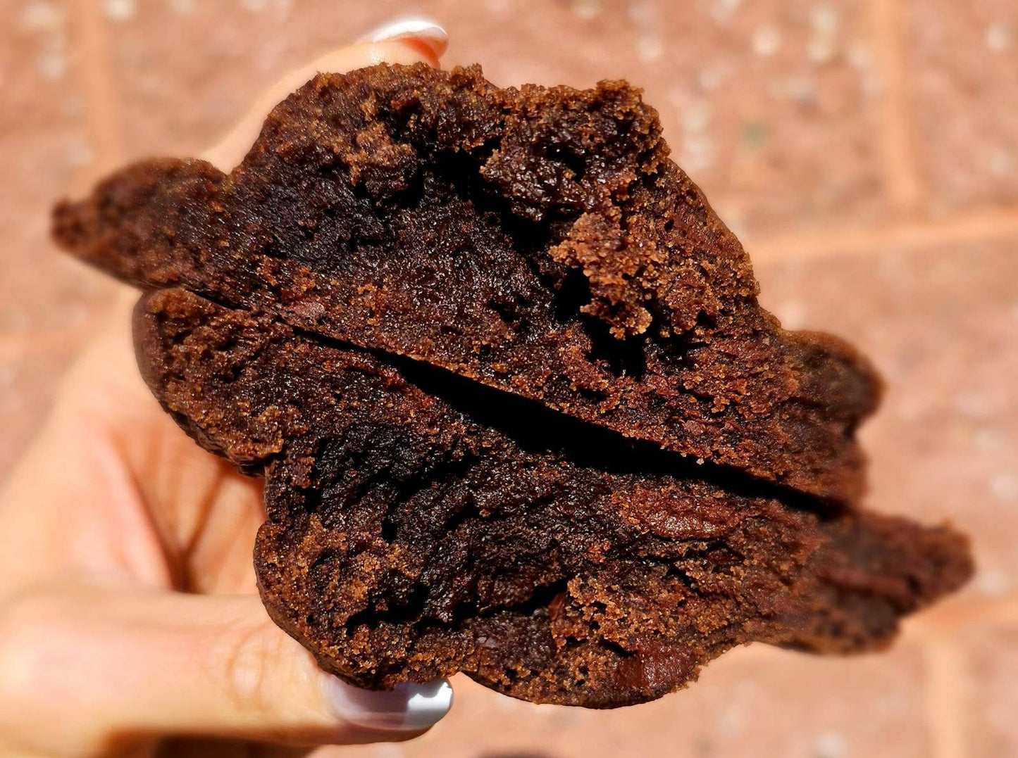 My Big Fat Cookie