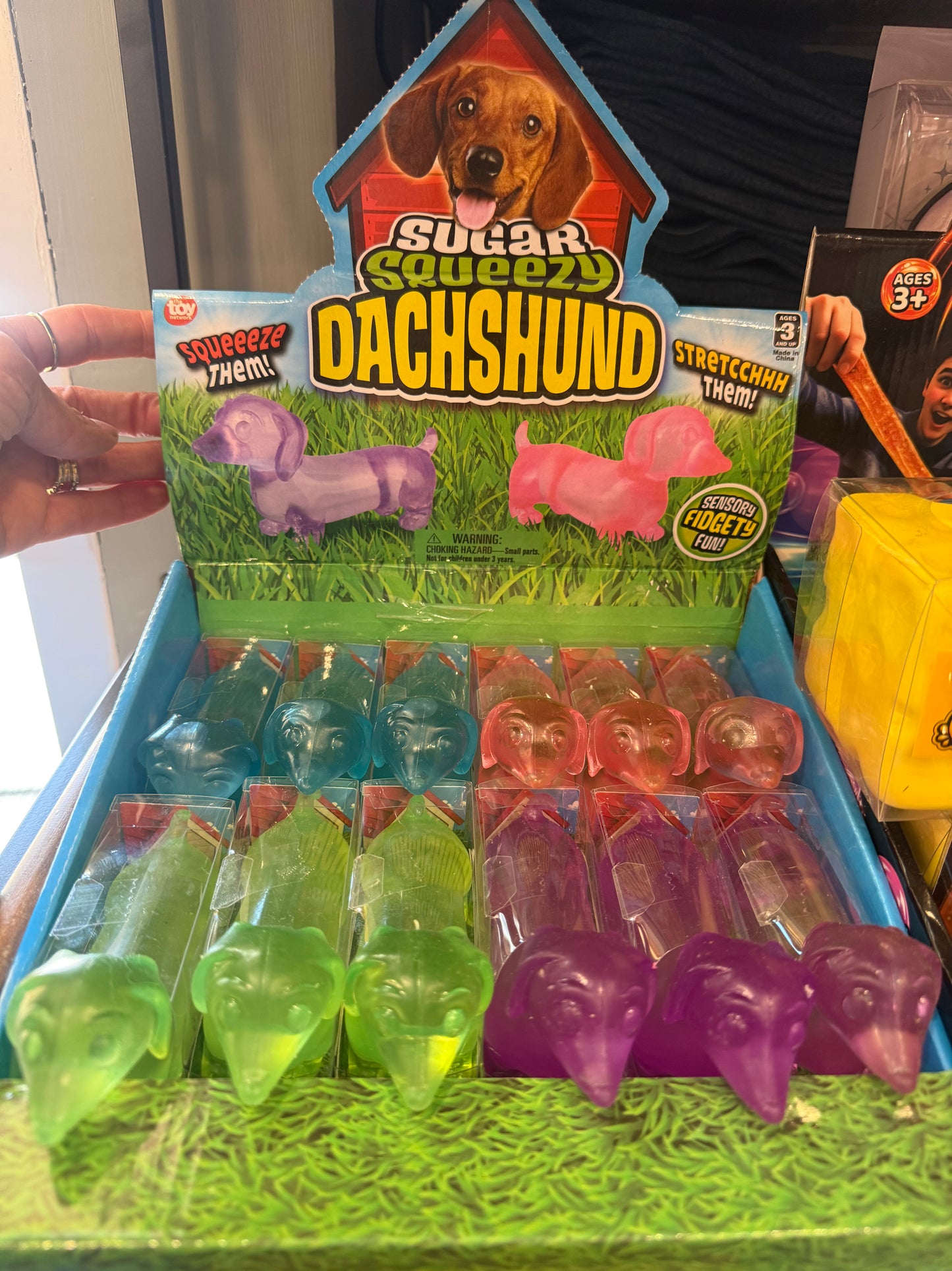 Dachshund Weiner Dog Sugar squishy