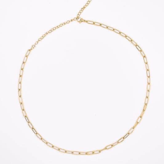 Resort - Classic Paperclip Chain Necklace - SS & WR