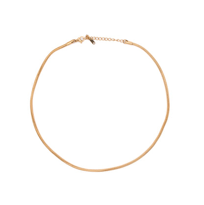 Resort - Classic Snake Chain Necklace - SS & WR