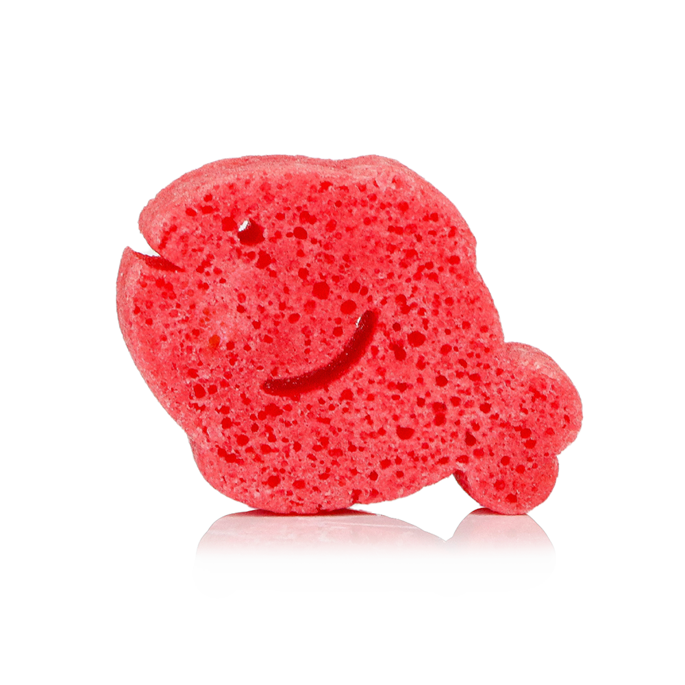 Fiona Fish Sea Animals Sponge