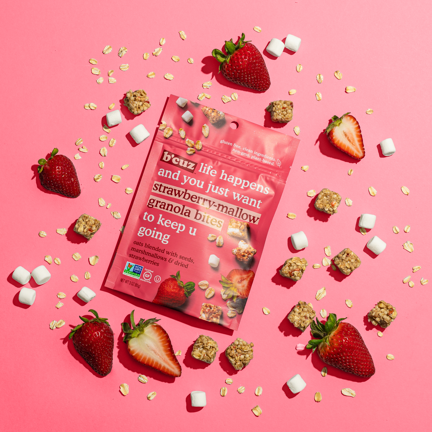 Strawberry Mallow Granola Bites 3oz.
