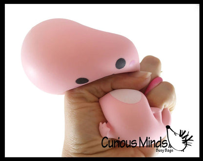 Axolotl Soft Creamy Doh Filled Squeeze Stress Balls