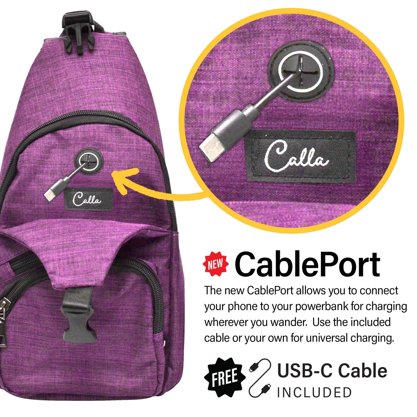 USB-C charging enabled Anti theft Daypack Travel Bags