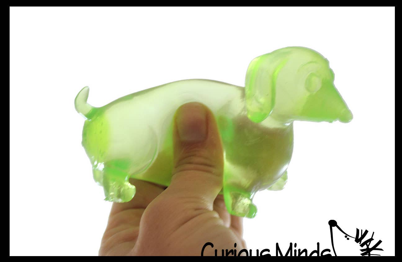 Dachshund Weiner Dog Sugar squishy