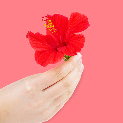 Tropical Hibiscus 16 oz - Refill Poo~Pourri -