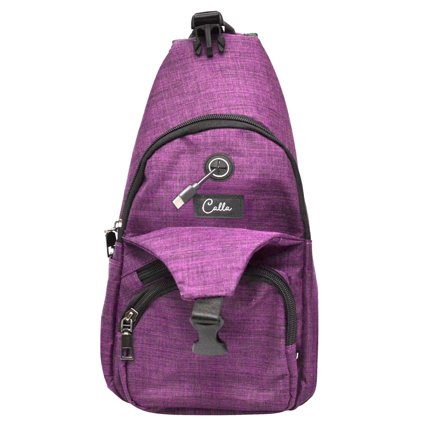 USB-C charging enabled Anti theft Daypack Travel Bags